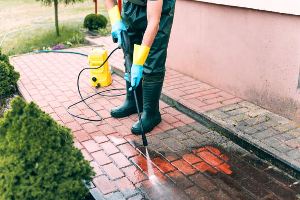 Best Sidewalk and Walkway Cleaning  in Kemah, TX